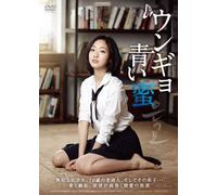 Park Hae-Il-Untitled [Edizione: Giappone] [Import]