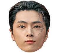 Park Jong-Seong (Dark Hair) Masques de celebrites
