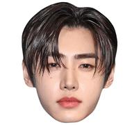 Park Sung-Hoon (Dark Hair) Masques de celebrites