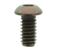 Park Tool 1539-8 V-Plate Screw (TS-3) Schwarz, 1539-8