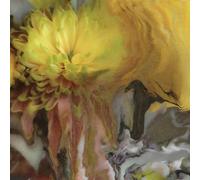 Parker Millsap - Wilderness Within You [Compact Discs]