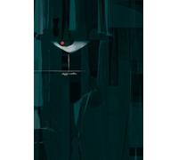 Parker Volume 1 Darwin Cooke (Buch auf Polnisch)