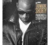 Parking Lot Symphony