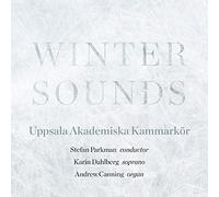 Parkman,Stefan - Winter Sounds