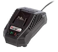 Parkside Chargeur pour appareils Parkside avec câble de Charge 21,5 V 2,4 A PLG 20 A1 (Chargeur)
