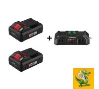 Parkside Performance® Lot de 2 batteries 20V 4Ah + double chargeur 20V 4.5A