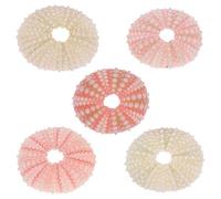 Parliky 5 pièces Set de Ornements Coquillages Oursins Naturels Décorations Aquarium et Bureau Accessoires Sécurisés pour Cachette Poissons et Ambiance