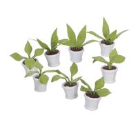 Parliky 8 pièces Miniature Dollhouse Plants Set Handmade Mini Bonsai Clay Potted Plants for Scene Styling Lightweight Miniature Landscape Decoration Props for Dollhouse and DIY Projects