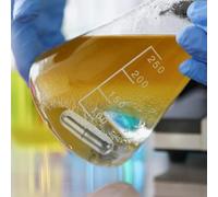 Parliky Barre Aimantée Acier Inoxydable pour Agitation de Laboratoire Bâtonnet Magnétique Compact et Polyvalent pour Mélange Scientifique Réutilisable