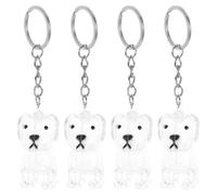 Parliky Boîte Commémorative pour Poils d'animaux 4 Pièces en Abs Porte-clés Portable et Technologie D'étanchéité Anti-poussière pour Souvenir Cadeau