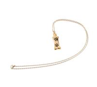 Parliky Collier Urne Funéraire Acier Inoxydable pour Cendres De Chien Pendentif Commemoratif Pratique Et Élégant pour Garder Vos Souvenirs Près du Cœur De Mémoire pour Animaux De
