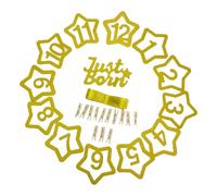 Parliky Guirlande Photo Mensuelle Bébé Pinces 1 à 12 Mois, Bannière Anniversaire 1 An Étoile Pailletée Bleu et Or, Décoration Fête Garçon et Filles Première Année, Bannière Photo Étape