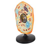 Parliky Modèle Cellule Animale Agrandi pour Enseignement Biologie Collège Détail Réaliste et Observation Claire pour Études Scientifiques