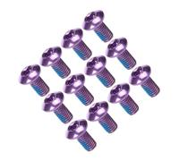 Parliky Vis de Vélo en Acier Titane M5X10Mm Lot de 12 Vis Colorées Violettes pour Plaquettes de Frein à Disque Compatibles VTT Route et Vélos Électriques