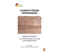Parlons travail?! Les nouvelles limites du travail et leur représentation - Nicole Colin - Publication Universite Provence - broché - Essai