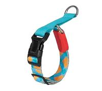 Parluer Collier anti-traction pour chien avec bandes réfléchissantes - Polyester tissé robuste, anneau en D en alliage de zinc de qualité escalade et boucle POM pour grands chiens