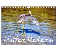 Parmi les hérons, Version française (Calendrier mural 2026 DIN A4 portrait), Calendrier CALVENDO mensuel