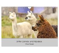 Parmi les lamas et les alpagas, Version française (Calendrier mural 2026 DIN A4 portrait), Calendrier CALVENDO mensuel