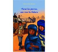 Parmi les pierres, une rose du Sahara - Odette-Claire Brousse - L'harmattan - broché - Roman junior dès 9 ans