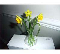 Parmy Bouquet de jonquilles en Verre dans Un Vase en Verre