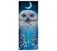 ParNarZar Carré Diamond Painting 35x80 cm Hibou portant des clés Lune Grande XXL 5D DIY Plein cadre Set pour hall d'entrée, passage, cheminée