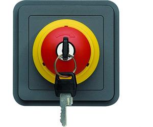 Paro de emergencia con llave, gris
