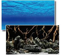 Paroi arrière Mystic photo imprimé des deux côtés 2 en 1 150 x 60 rückwand Poster Paroi Arrière d'aquarium