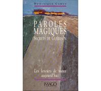 Paroles magiques, secrets de guérison : Les Leveurs de maux aujourd'hui