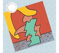 Parquet Courts - Performing Human