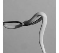 Parrhesia/Vinyle Rose Opaque