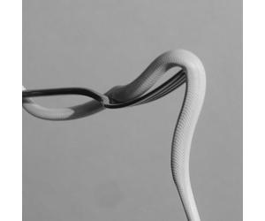 Parrhesia/Vinyle Rose Opaque