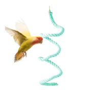 Parrot Climbing Rope, Flexible Bird Swings for Parrots Cockatiel Peony, Reusable Colorful Chewing Toys, 41.3 inches Macaw Stand with Cotton Ladder for Climbing and Playing