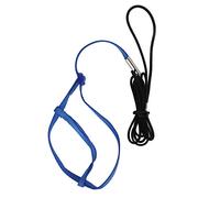 Parrot Harness Leash | Adjustable & Bite - Proof Flying Rope for Birds/Parrots | Escape - Proof Hook Design | Lightweight Nylon Traction Rope (XS)