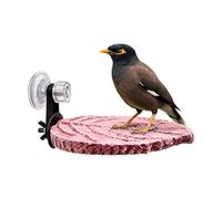 Parrot Perch Grinding Stick - 13.5x9.5cm Suction Cup Bird Perch | Frosted Beak & Claw Grinding Stand with Tray - Cage Accessory for Budgié Cockatiel Parrot Nail Care