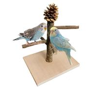 Parrot Play Stand, Bird Perch Stand Wood, Wooden Base, Tabletop Parrot Perch, 500g Natural Branch, & Stable, Ideal for Birds at Home or Outdoors