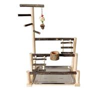 Parrot Playstand Gym - Perruche à oiseaux innovante | Jouet pour perroquet à oiseaux | Cage à perruches au sol | Aire de jeux pour perroquets | Aire de jeux pour perroquets | Parrot