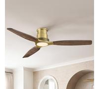 Parrot Uncle Ventilateur de Plafond avec éclairage 122cm, Cct Modulable 2700-6500k, Moteur DC Silencieux 35w, 6 Vitesses, Fonction été-Hiver/Mémoire, Télécommande, Pales en Bois Massif four Chambre