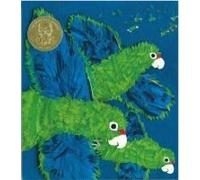 Parrots Over Puerto Rico