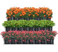 Parterre de plantation Renswoude 3 niveaux 118x118x60cm Parterre de jardin à niveaux Parterre de fleurs surélevé 3 niveaux en forme d'escalier Acier gris anthracite