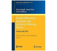 Partial Differential Equations And Geometric Measure Theory