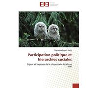 Participation Politique Et Hierarchies Sociales