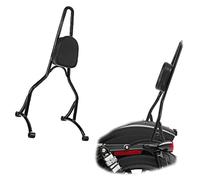 Partie de dossier Support De Dossier Passager Arrière D'aile D'air Moto Pour Harley Sportster XL 883 XL1200 2004 2005 2006 2007 2008 2009 2010 2011-2023