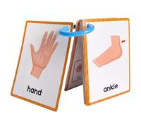 Parties du Corps apprenant Les | 15pieces Carte Flash Anglais Parties de Corps Carte de Poche, Apprentissage préscolaire Flashcard Mots éducatifs flashcard pour