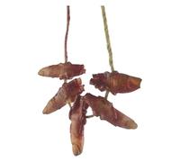 Parties du corps cassées | Faux parties du corps effrayantes suspendues | Décoration réaliste d'Halloween - Pendentif suspendu pour maisons hantées, accessoires de scène et blagues d'avril le jour