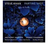 Steve Khan - Parting Shot