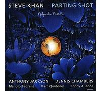 Parting Shot / Steve Khan
