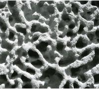 Partipilo - I Like Too Much