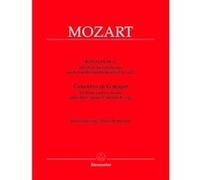 Partitions classique BARENREITER MOZART W.A. - KONZERT FUR FLOTE UND ORCHESTER G-DUR - CONDUCTEUR Format poche
