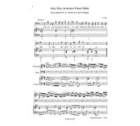 Partitions classique GREEN MAN PRESS BACH J.S. - HIER IST MEINES VATERS STTTE - BASSE ET INSTRUMENTS Voix solo et instruments