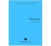 Sendrez - Tribrachus - 3 Flûtes et 1 Flûtiste